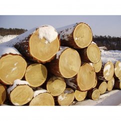 Кругляк хвойных пород (сосна, ель)